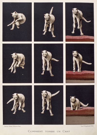 Hoe een kat valt, uit Les Dernieres Merveilles de la Science door Daniel Bellet door G. Lasellaz
