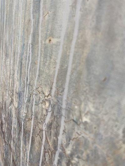  door Gabriela Aleksandra Szuba