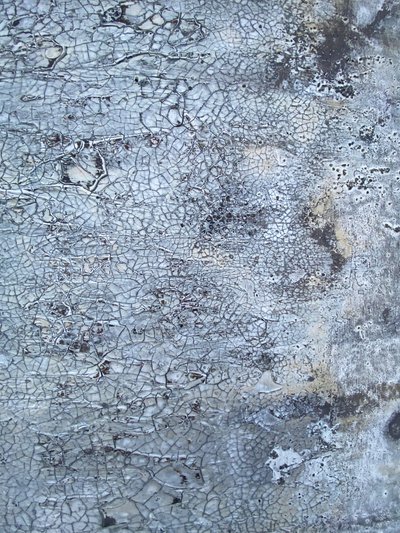  door Gabriela Aleksandra Szuba