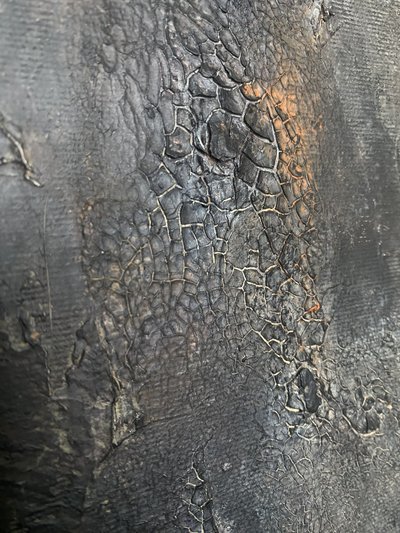  door Gabriela Aleksandra Szuba