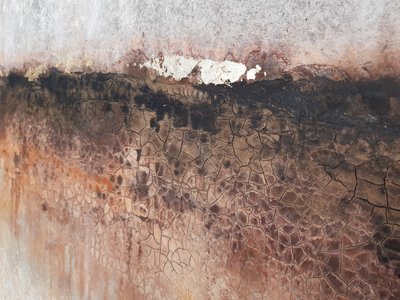  door Gabriela Aleksandra Szuba