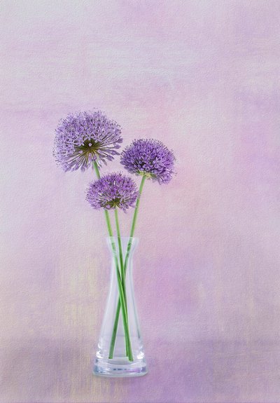  door Gaille Gray