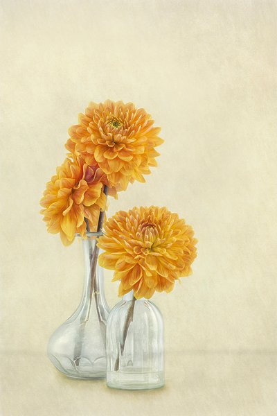  door Gaille Gray