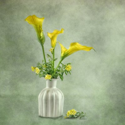  door Gaille Gray