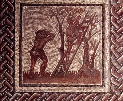 Gallo-Romeinse kunst: mozaïekbestrating die een rustieke kalender voorstelt. Olijven plukken scène. Eind 2e, begin 3e eeuw na Christus. Uit Saint-Romain-en-Gal (Rhone). Saint Germain en Laye, Nationaal Archeologisch Museum door Gallo Roman