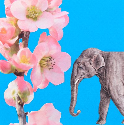 Olifantenbloesem, 2018, collage door Genevieve French