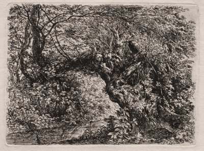 De Oude Wilg bij een Beek door Georg von Dillis