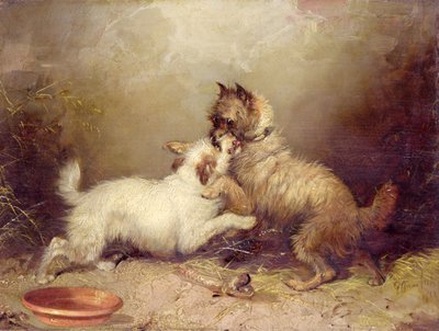  door George Armfield