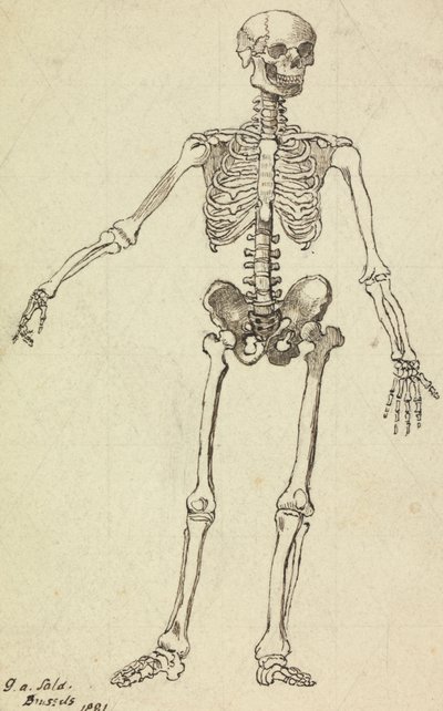 Tekening van een skelet door George Augustus Sala