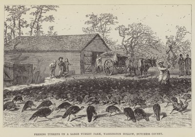 Kalkoenen voeren op een grote kalkoenboerderij, Washington Hollow, Dutchess County door George Augustus Sala
