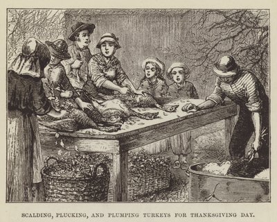 Kalkoenen schroeien, plukken en opblazen voor Thanksgiving Day door George Augustus Sala