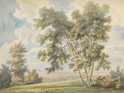 Landschap met Bomen en Schapen (Parklandschap met Schapen) door George Barret