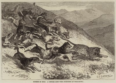 Jacht in India, een luipaardjacht met vossenjacht in Ootacamund door George Bouverie Goddard
