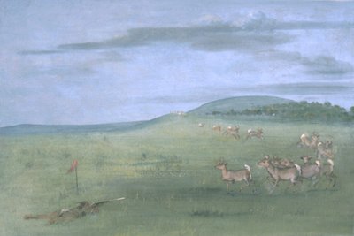 Antilopen schieten, omhoog lokken door George Catlin