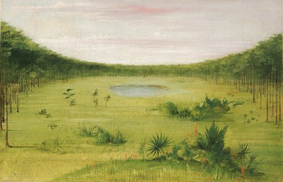 Prachtige savanne in de dennenbossen van Florida door George Catlin