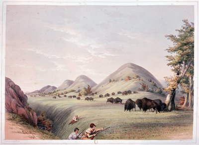 Bizonjacht door George Catlin