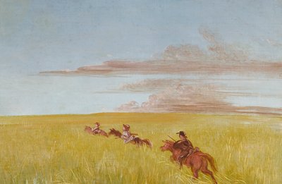 Bogard, Batiste en ik, op reis door een Missouri-bodem door George Catlin
