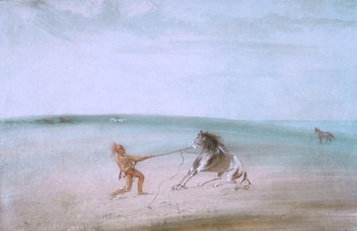 Het wilde paard afbreken door George Catlin