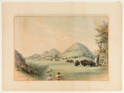 Buffeljacht; naderen in een ravijn - nr. 11 door George Catlin