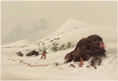  door George Catlin