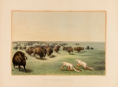 Buffeljacht, onder de Witte Wolfskin - nr. 13 door George Catlin