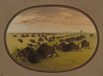 Stierengevecht, 1861-1869 door George Catlin