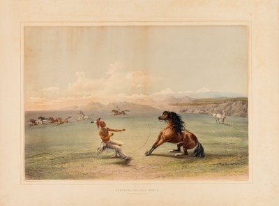 Het wilde paard vangen - nr. 4 door George Catlin