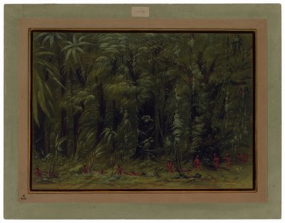 Interieur van een Amazonewoud - Zurumati door George Catlin