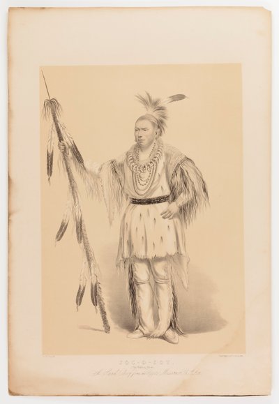 Joc-o-sot, de wandelende beer door George Catlin