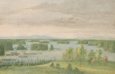 Lac du Cygne (Zwanenmeer), bij het Coteau des Prairies door George Catlin