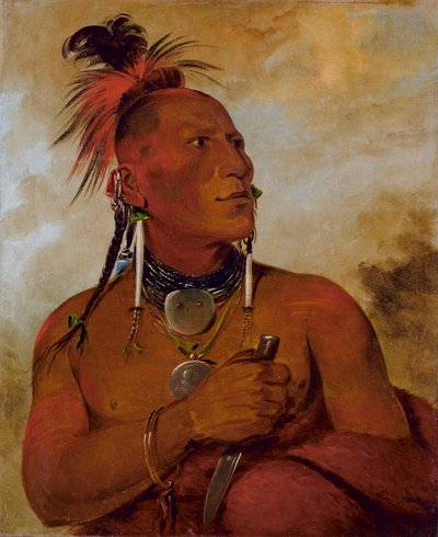 Meach-o-shín-gaw, Kleine Witte Beer, een Uitmuntende Dappere door George Catlin