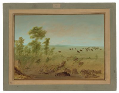 Vastgelopen buffel en wolven door George Catlin