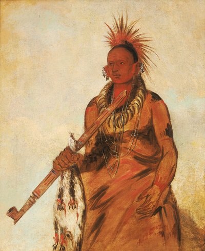No-o-mún-nee, Wandelingen in de regen, een krijger door George Catlin
