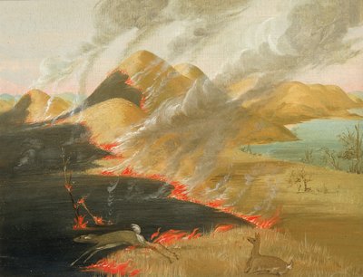 Prairie Bluffs Brandend door George Catlin
