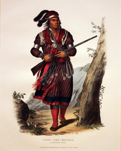 Seminole opperhoofd Tuko-See-Mathla door George Catlin