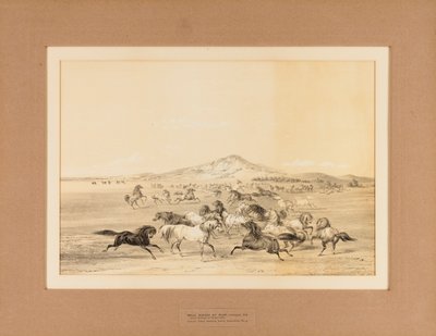 Wilde paarden aan het spelen - nr. 3 door George Catlin