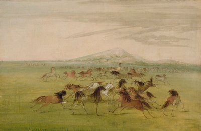 Wilde paarden aan het spelen door George Catlin