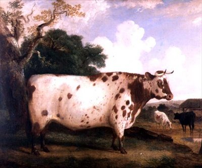 Een Shorthorn Stier in een Landschap door George Cole