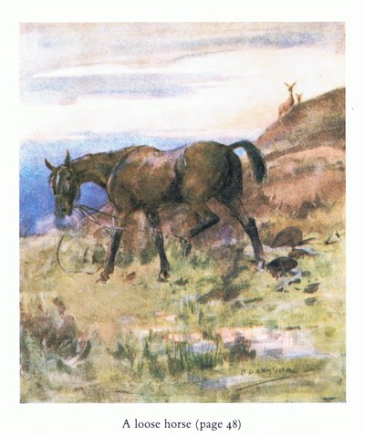 Het losgebroken paard door George Denholm Armour