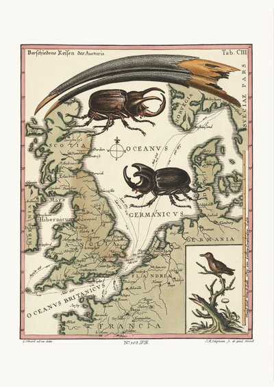 De snavel van de Egyptische Ibis en de kleinste kolibrie, 1749-73 door George Edwards