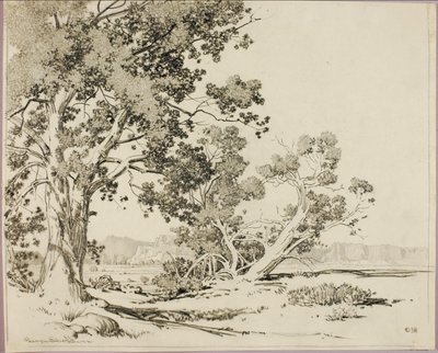  door George Elbert Burr