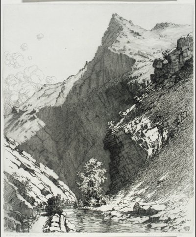 Bear Creek Canyon, Denver, Colorado door George Elbert Burr