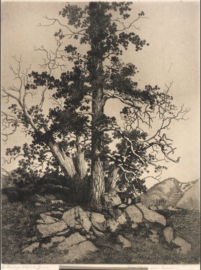  door George Elbert Burr