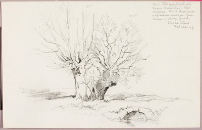 Roche Vaud door George Elbert Burr