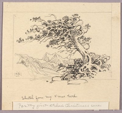 Schets voor kerstkaart (Windswept Pine [nr. 1]) door George Elbert Burr