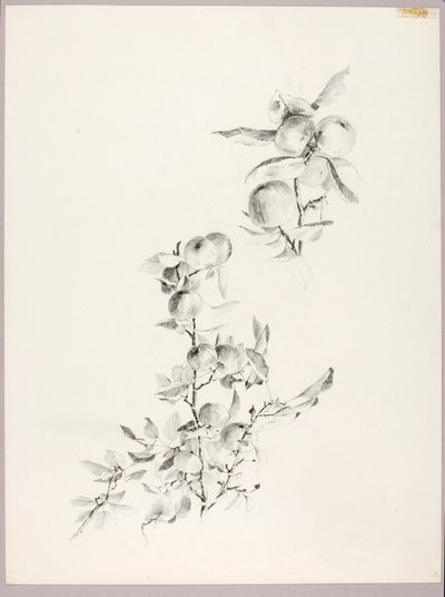 Zonder titel (Takken van appelboom) door George Elbert Burr