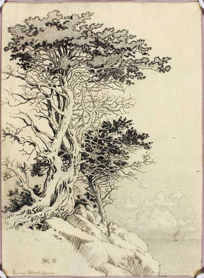 Zonder titel (tekening voor afdruk) door George Elbert Burr