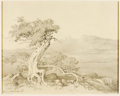 Zonder titel (transfer tekening voor Old Cedars en Spanish Peaks) door George Elbert Burr