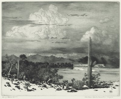 Verde River, Apache-reservaat, Arizona door George Elbert Burr