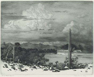 Verde River, Arizona door George Elbert Burr